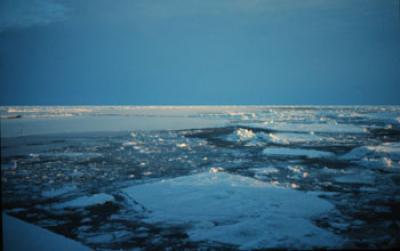 Arctic Sea Ice