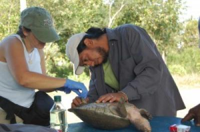 Researchers Take a Tissue Sample
