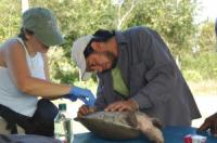 Researchers Take a Tissue Sample