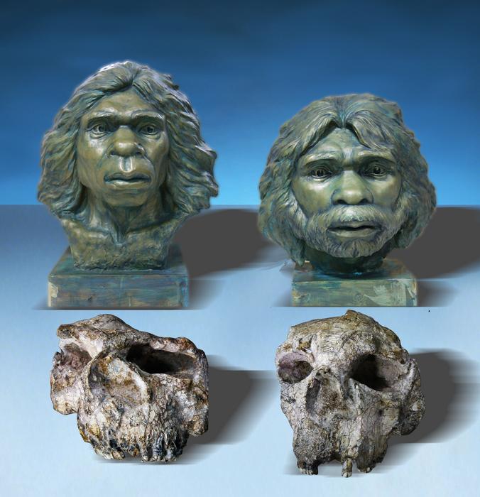 Reconstruction of the Yunxian Homo erectus_Photo Credit Xiaobo Feng