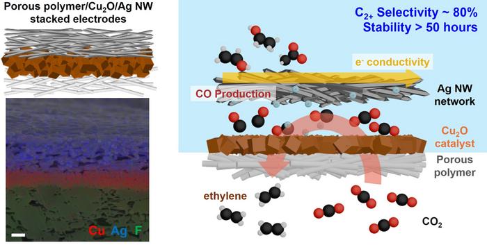 KAIST Develops Electrode Technology Achieving 86% Efficiency for Converting CO₂ into Plastic Precursors​