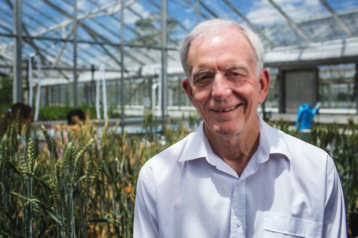 Professor Robert Henry