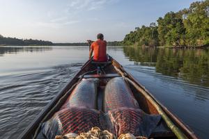 Fisherman in canoe
