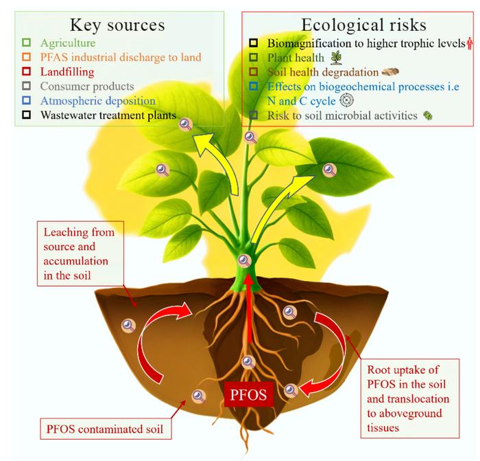 Perflourooctane sulfonate in soil–plant systems in Africa: occurrence and ecological risks