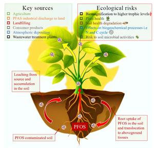 Perflourooctane sulfonate in soil–plant systems in Africa: occurrence and ecological risks