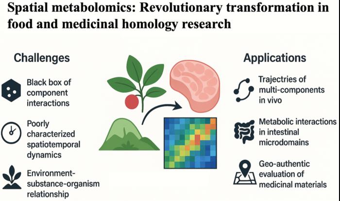 Spatial Metabolomics: Decoding the Spatiotemporal Map of Food-Medicine Homology
