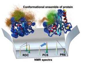 Ensemble map of protein structure.