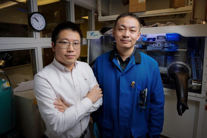 Sihong Wang and Zhiming Zhang