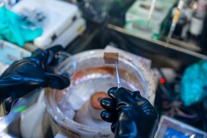 2D perovskite film