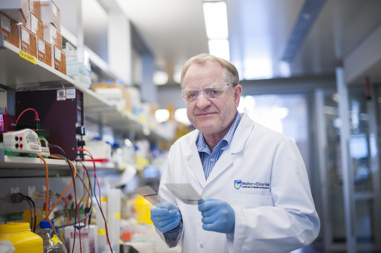 David Vaux, The Walter and Eliza Hall Institute