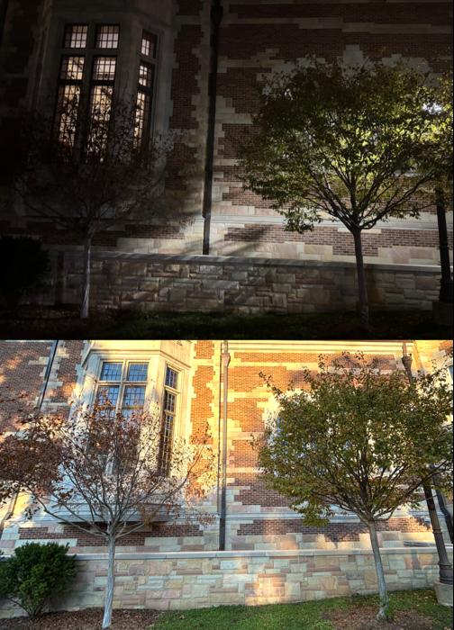 Artificial light at night