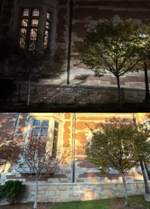 Artificial light at night