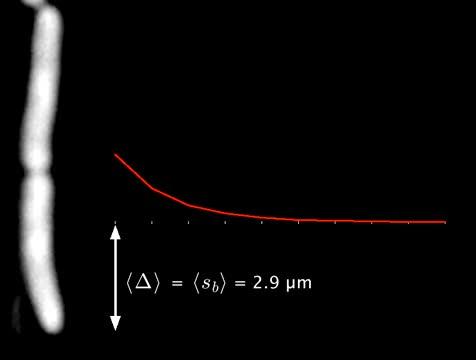 Why the Constant Volume Rule Works