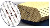 Structural Details of Cellulose Nanocrystals