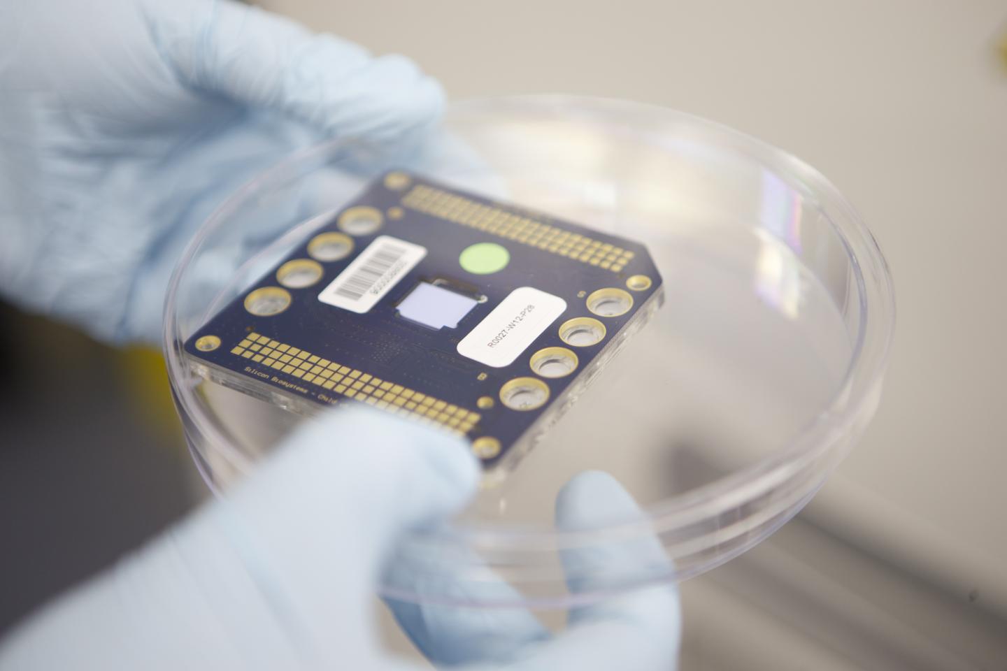 Bowel Cancer Test
