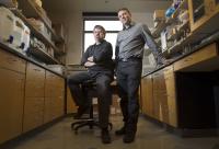 Researchers