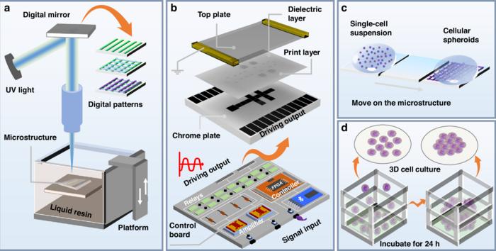 3D-printed digital microfluidic system for 3D cell culture.