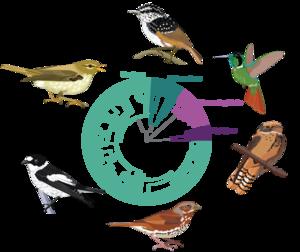 Circleplot of Six Species Used in the Study