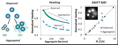 Nanoparticle Aggregation in Biological Systems