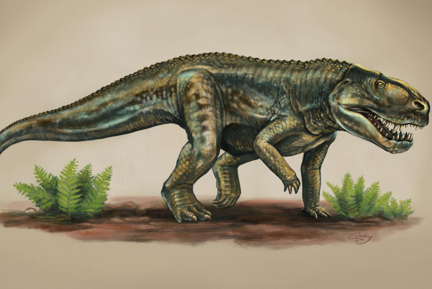 Ancient Animal
