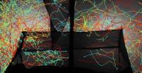 Flight Paths