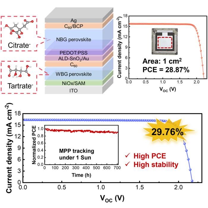 The developed high-performance all-perovskite tandem solar cells