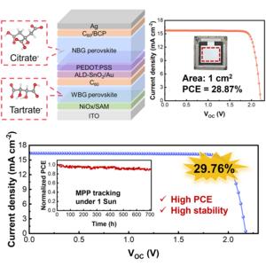 The developed high-performance all-perovskite tandem solar cells
