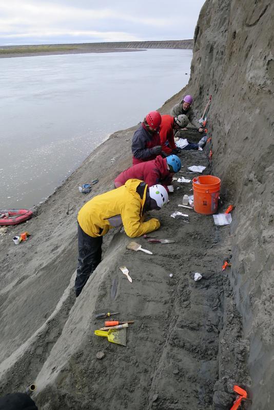 Excavation