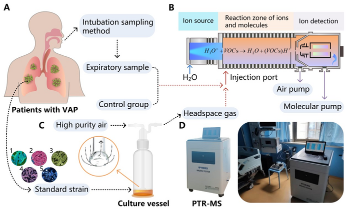 Researchers Screen for Ventilator Associated Pneumonia Infection through Breath Test