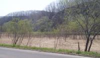 Abandoned Dry Farmland