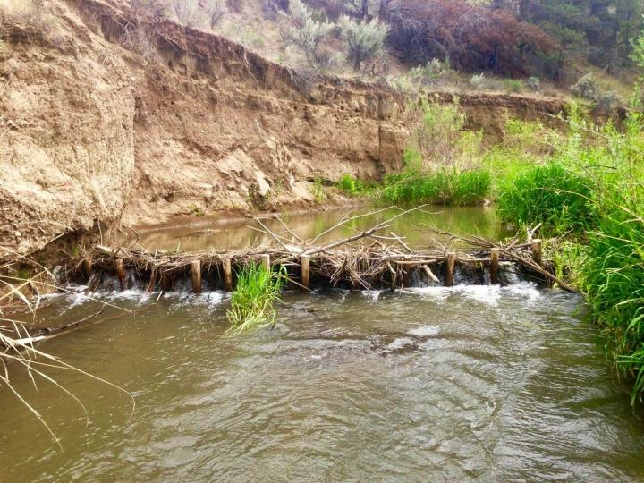 Beaver Dam in Eastern Oregon