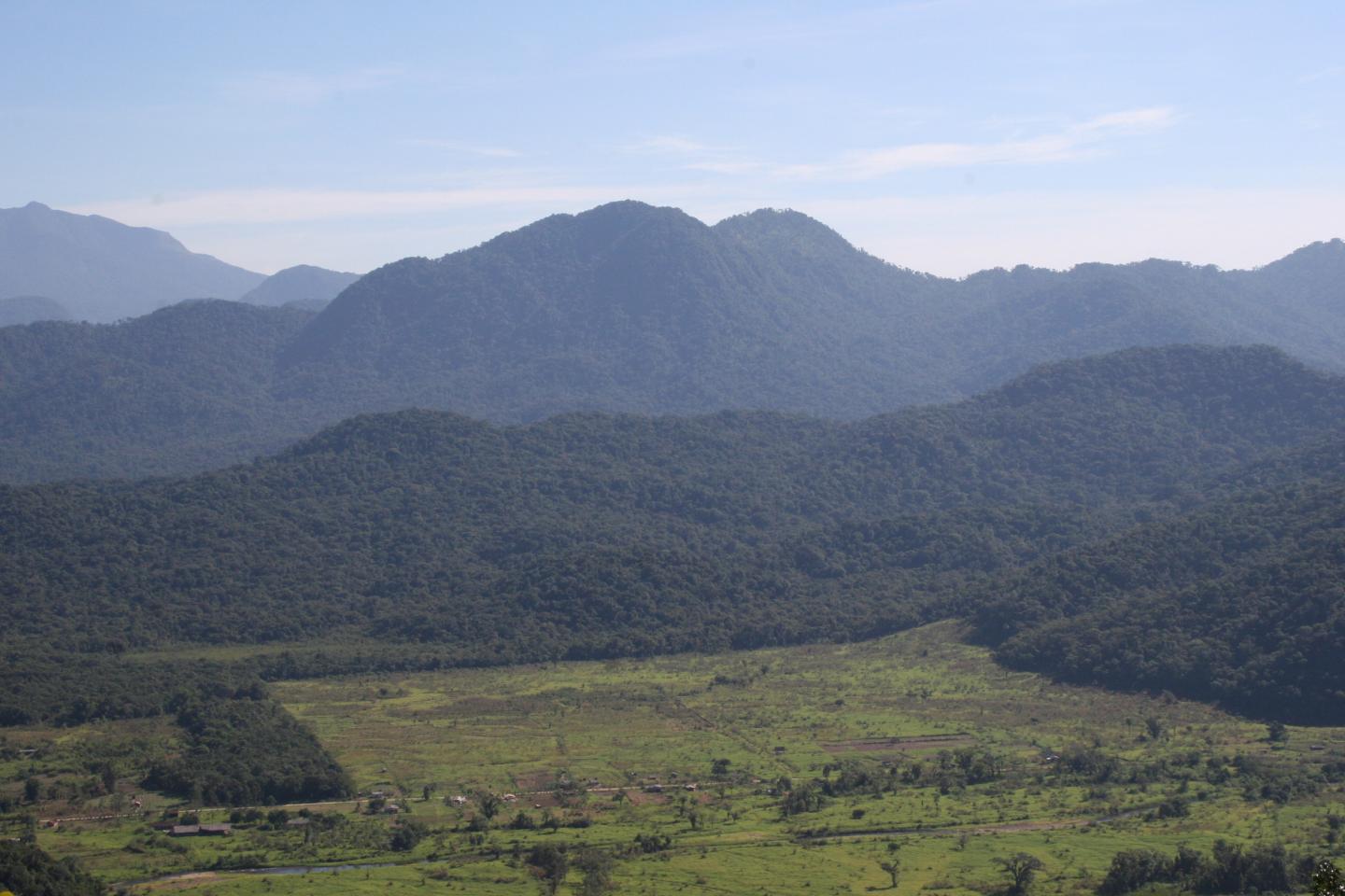 Deforested Area of Brazilian Forest