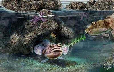 Sorry, Charlie, You and Nemo Aren't the Only Fish That Talk