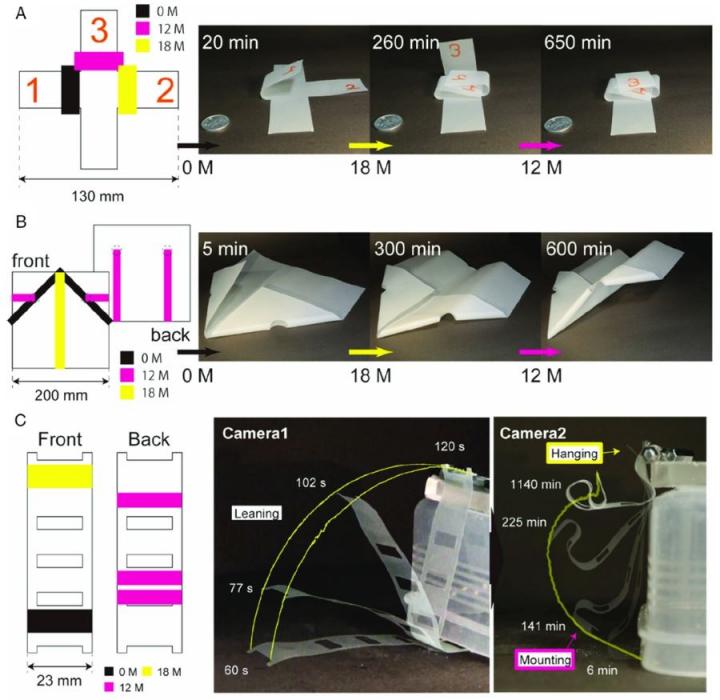 Printing self-folding structures