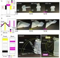 Printing self-folding structures