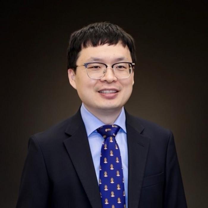 Professor Liang Wang