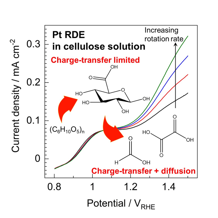 Pt RDE in cellulose solution