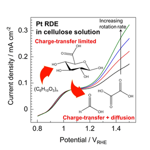Pt RDE in cellulose solution