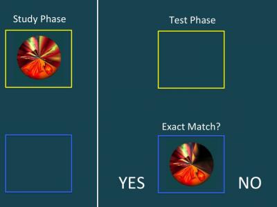 The Alzheimer's Test