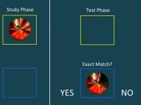 The Alzheimer's Test