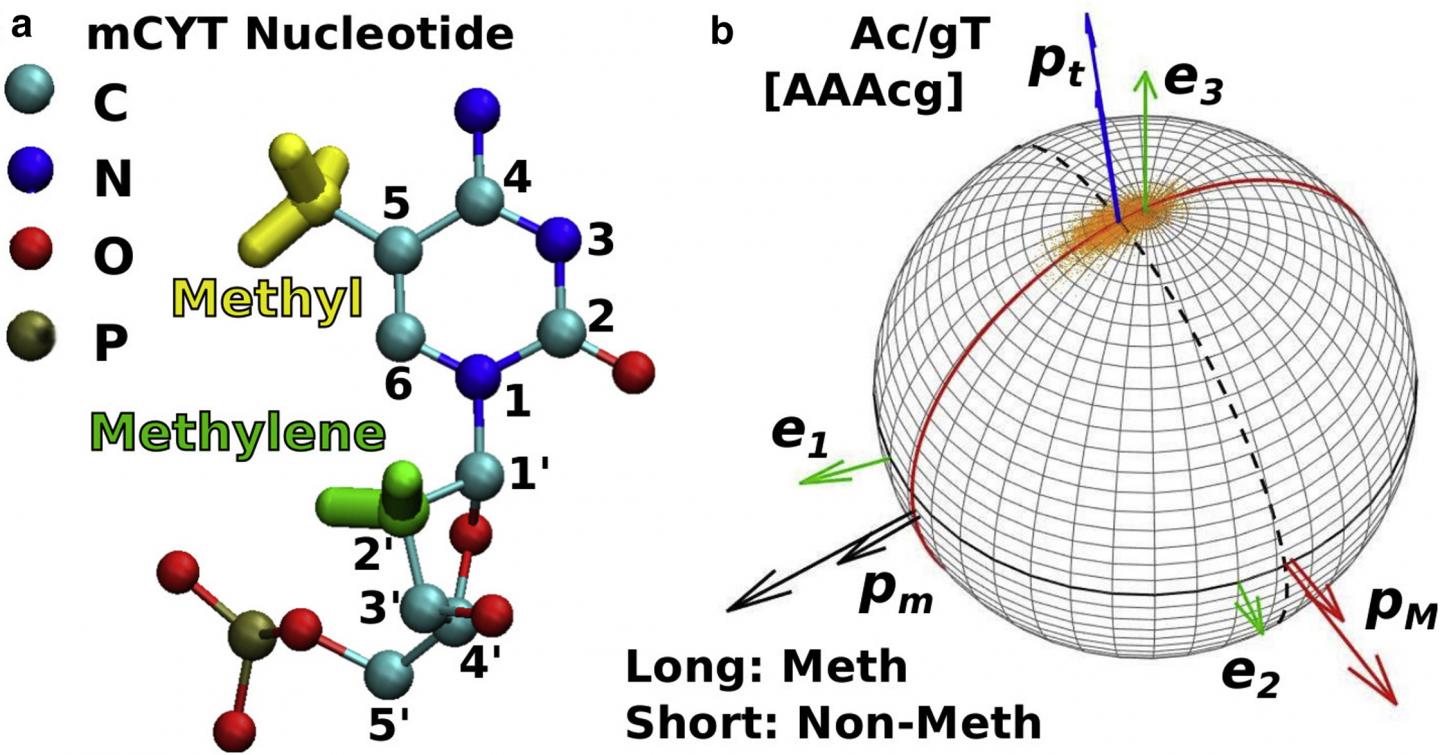 Hwang Figure 1