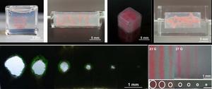 Embedded 3D printing in cell-dense suspension (EPICS) as a strategy to bridge printability and biological realism