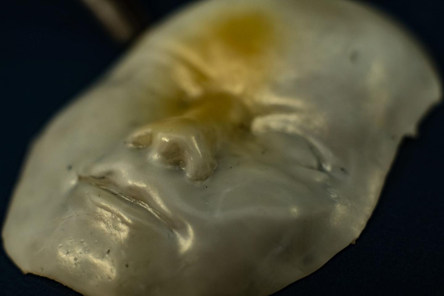 A Face Made of a Unique Polymer