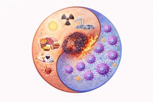 How mutation “fingerprints” shape tumour immune visibility