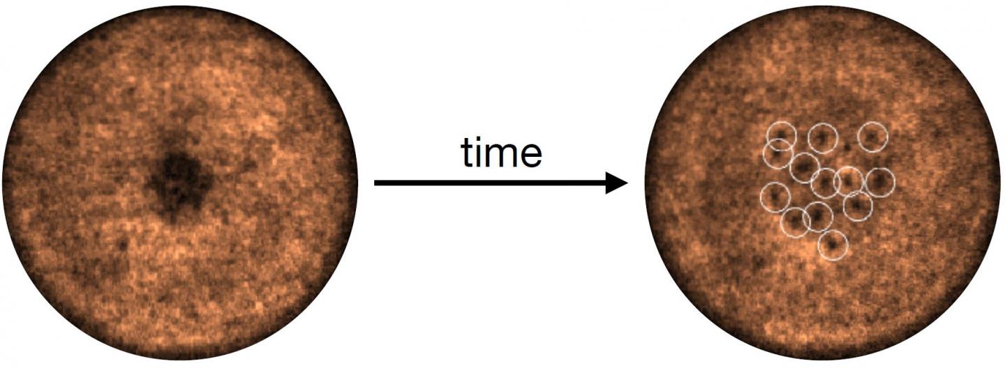 Rankine Vortex Emerges