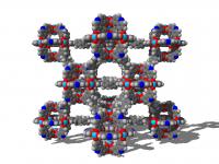 Network Structure