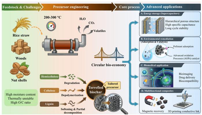 A comprehensive review of biomass torrefaction as a versatile platform for the synthesis of functional carbon materials