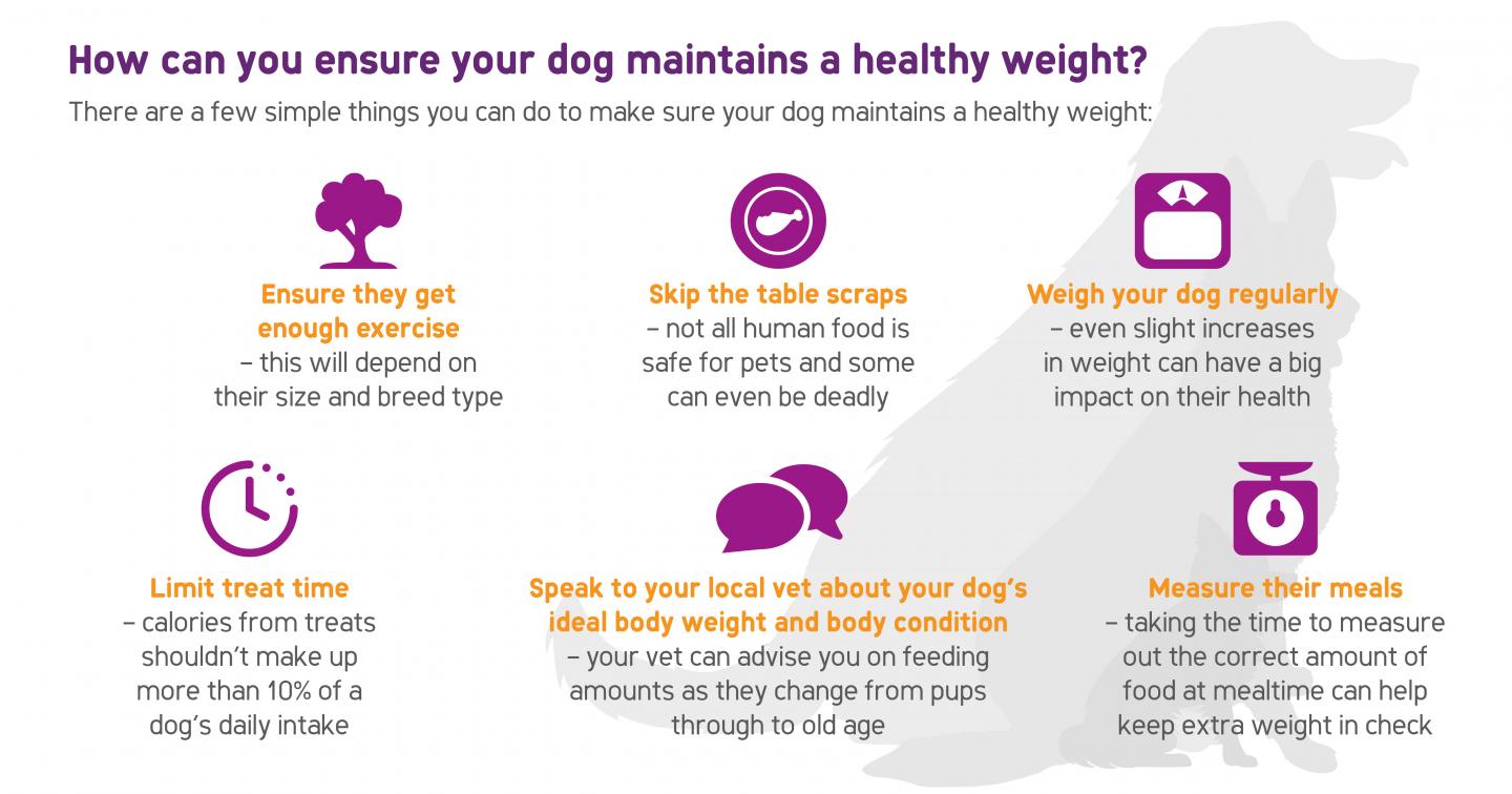 Infographic