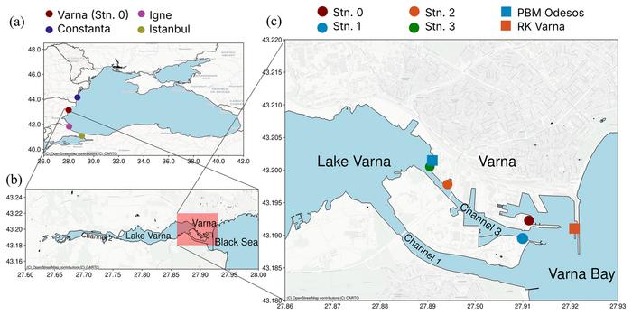 Image from a scientific article. Channels between Lake Varna and the Black Sea.png