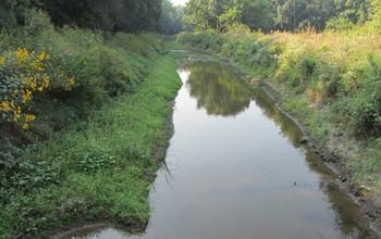 Stream